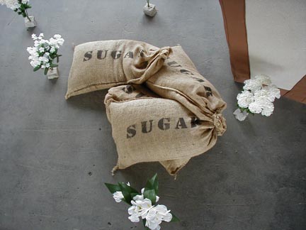 sugar